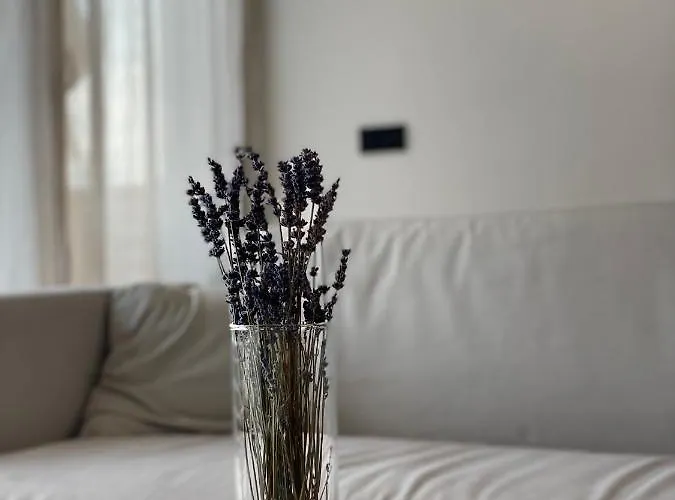 Roemer Und Apartament